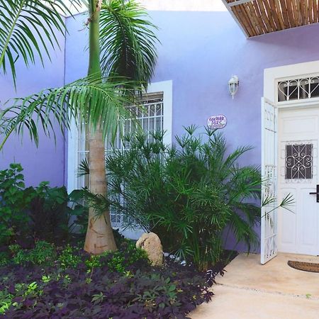 Villa Casa Violeta Mérida Exterior foto