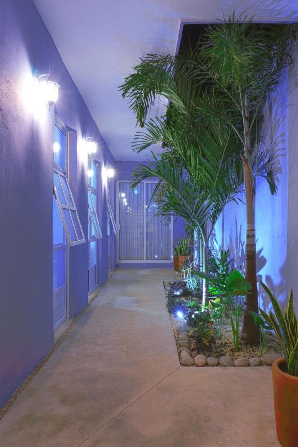 Villa Casa Violeta Mérida Exterior foto